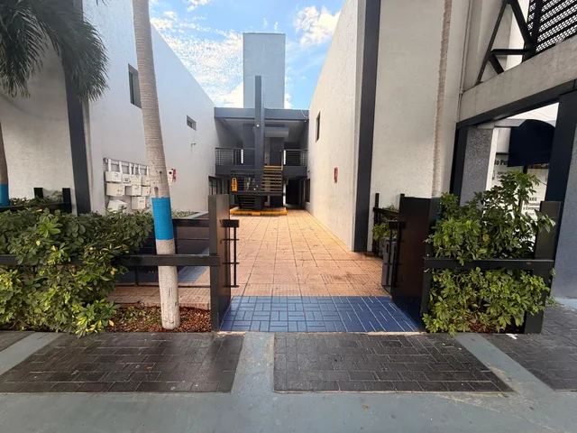Acceso al patio con losas azules, una palma y buzones